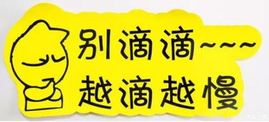 實習車上路 真的可怕嗎？解析馬路上的“隱形警報”與汽車陪駕服務