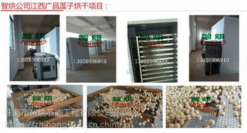 空氣能熱泵蓮子干燥機(jī) 智烘護(hù)航，解鎖蓮子與茶葉高品質(zhì)干燥新境界